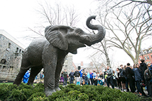 the statue of Jumbo (an elephant) on the Medford campus
