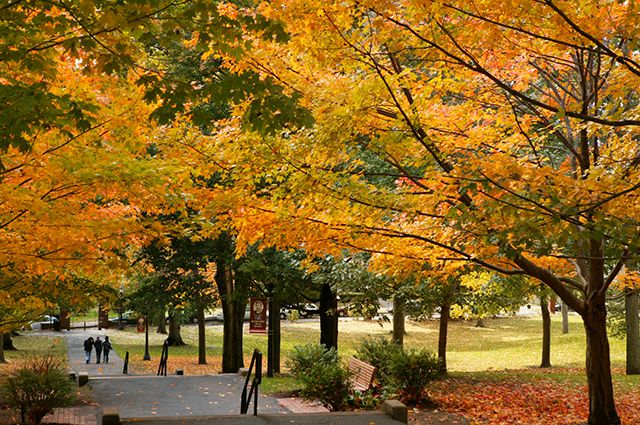 Tufts campus in the fall.