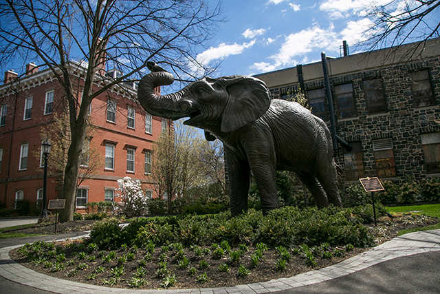 jumbo statue on tufts campus