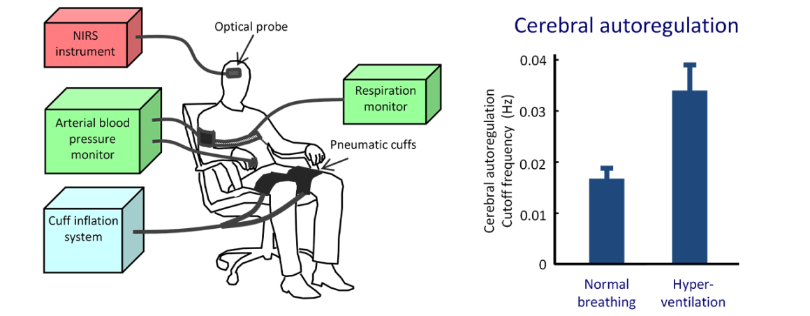 Fig. 2. CHS measurements of cerebral autoregulation during normal breathing and hyperventilation.