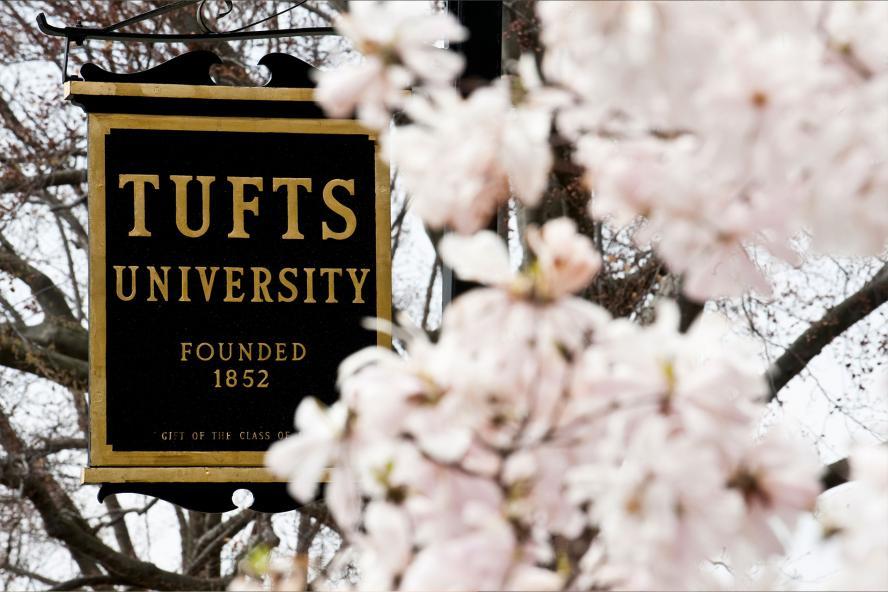Tufts University sign with tree flowers