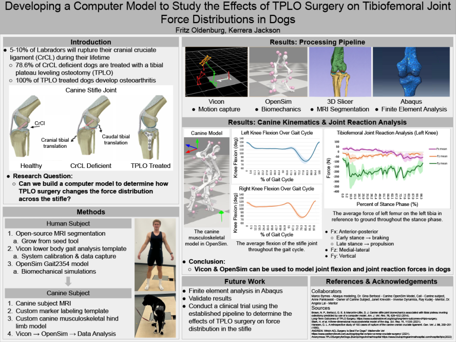 Poster, developing a computer model to study the effects of TPLO surgery