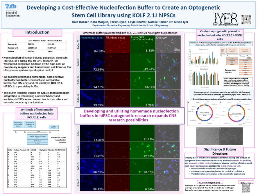 Developing a Cost-Effective Nucleofection Buffer to Create an Optogenetic Stem Cell Library Using KOLF 2.1J hiPSCs