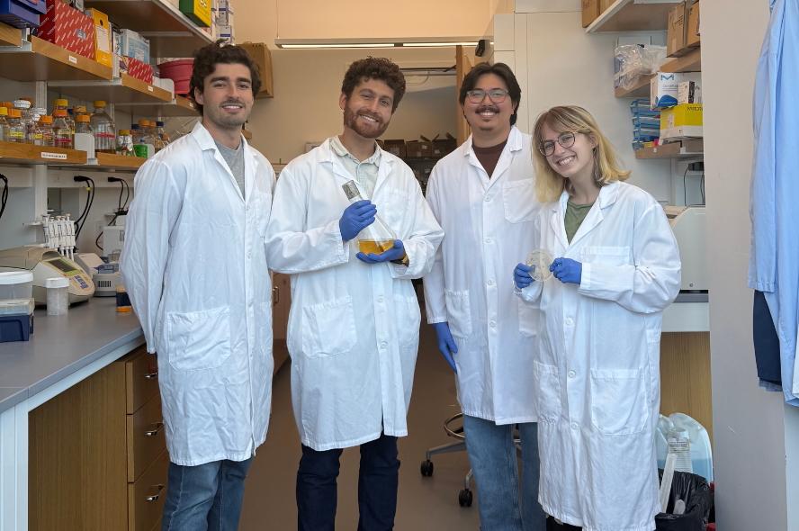 Tufts Engineering