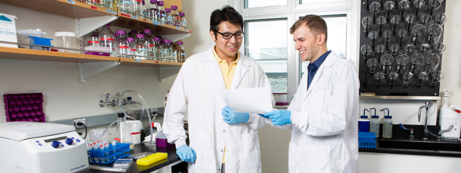 Two scientists in laboratory conversing about a piece of paper that they are holding.