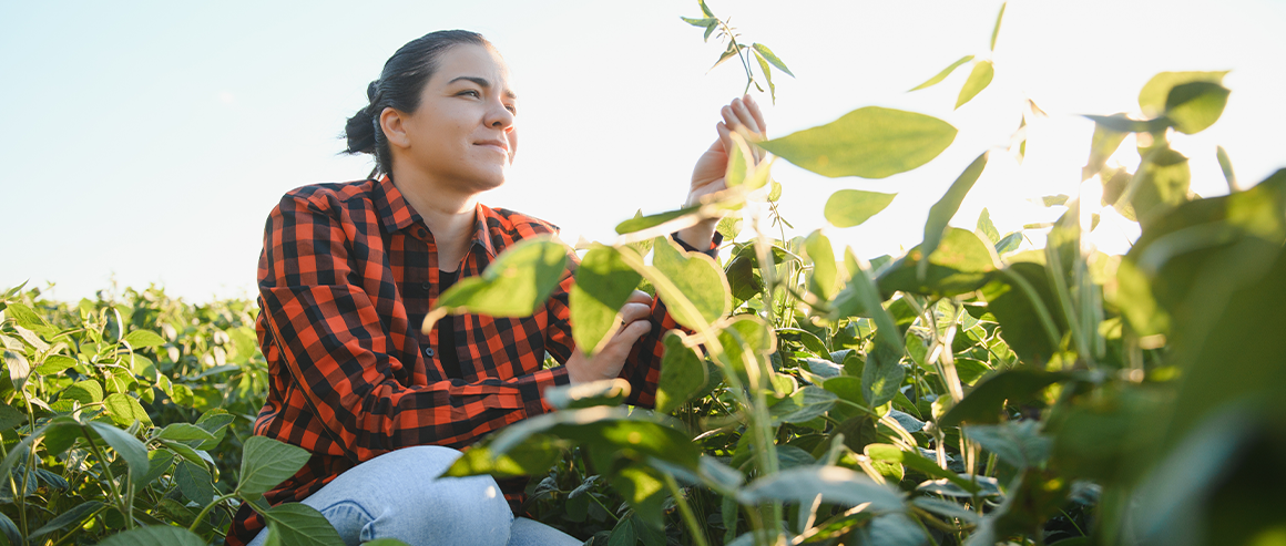 A woman evaluates crops in a field on a sunny day.