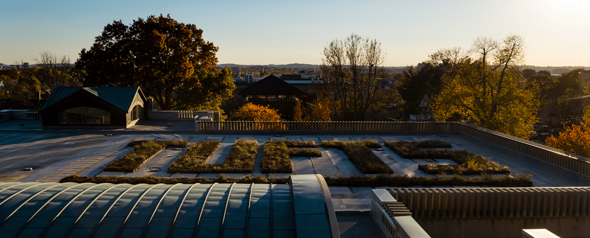 Tisch Library rooftop garden at dusk