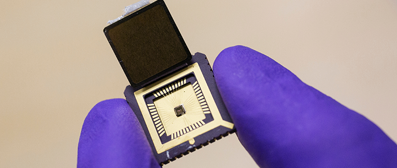 Microchip held between someone's fingers