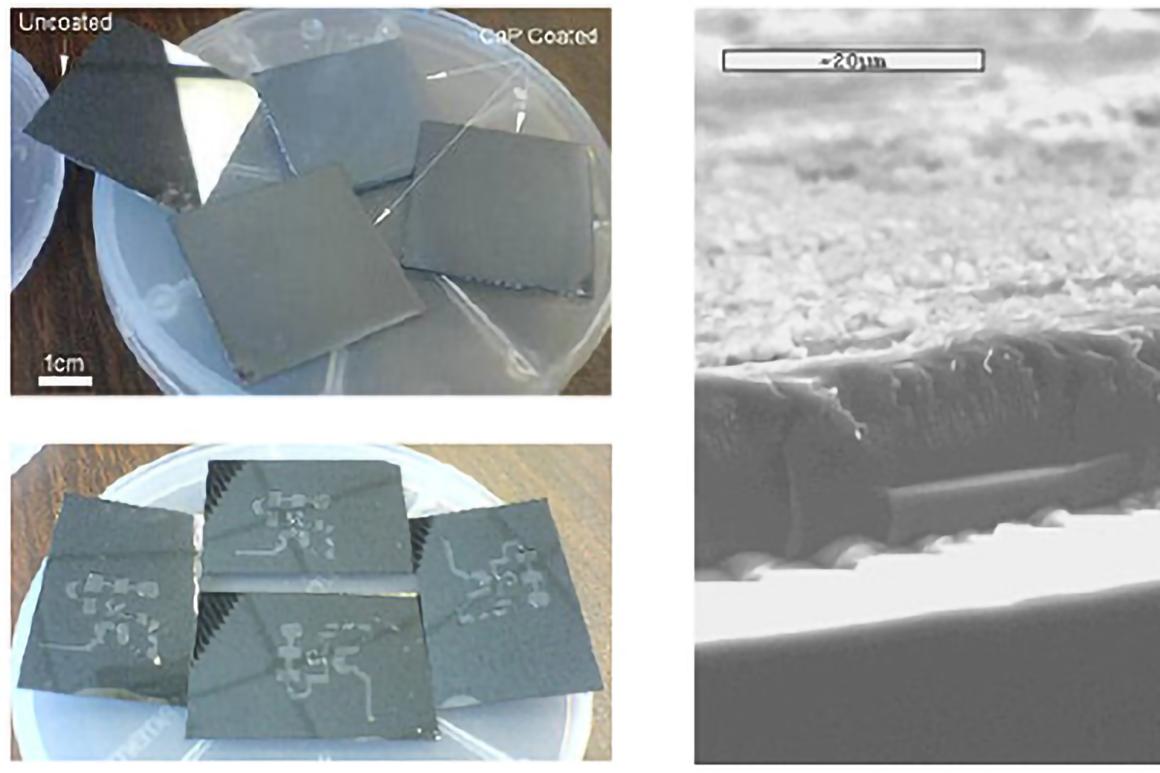Silicon wafers, diced to 36mmx36mm, coated with calcium phosphate and one uncoated wafer chip for comparison, Calcium phosphate coated wafers with microchannels patterned in 100um thick S-U-8 photoresist, and S-E-M image showing cross-section of calcium phosphate coating, approximately 15um thick, on silicon wafer