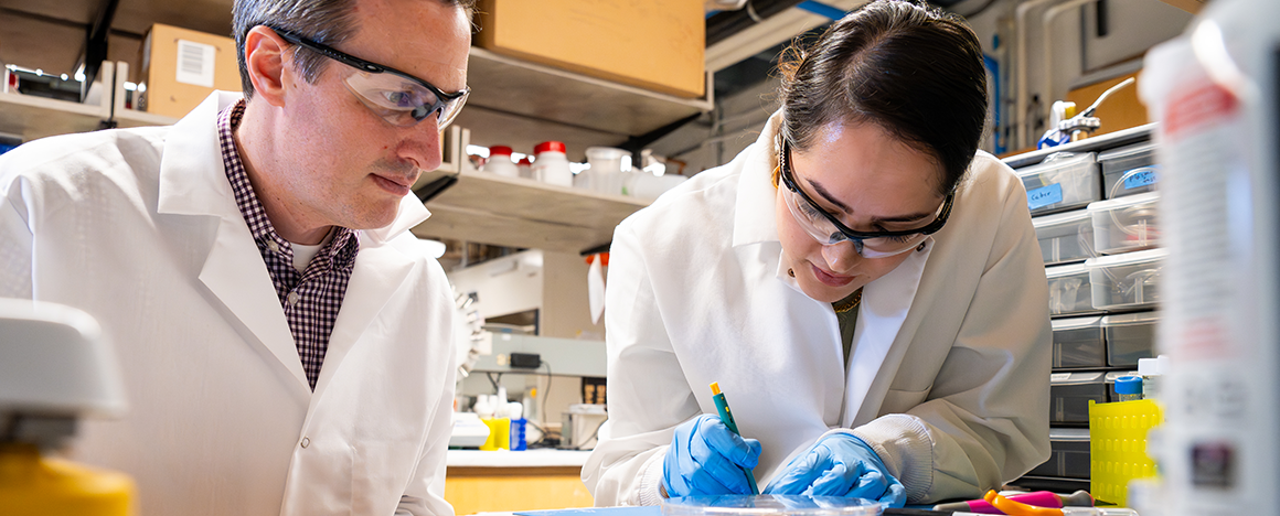 Jeff Guasto (left) and Maliheh Teimouri (right) work together in the lab. Both are wearing white lab coats.