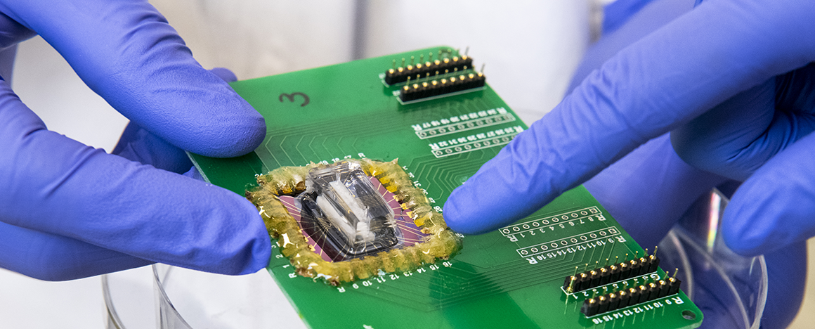 Heart on a chip model. Researchers in Prof. Brian Timko’s lab have fabricated a bioelectronic heart on a chip model to study the effects of hypoxia on cardiac function.