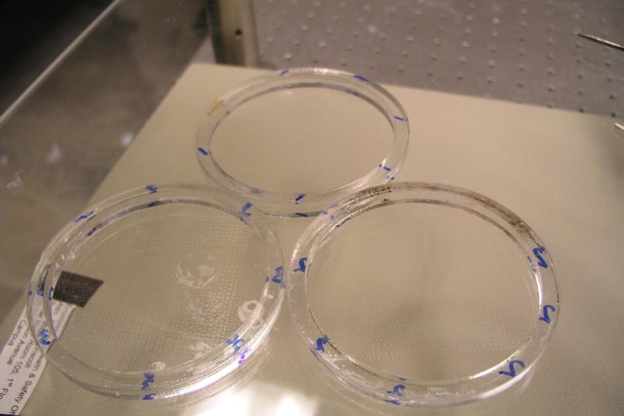 Photograph of etched glass calibration wafers used to determine thin fluid film thickness during D-E-L-I-F
