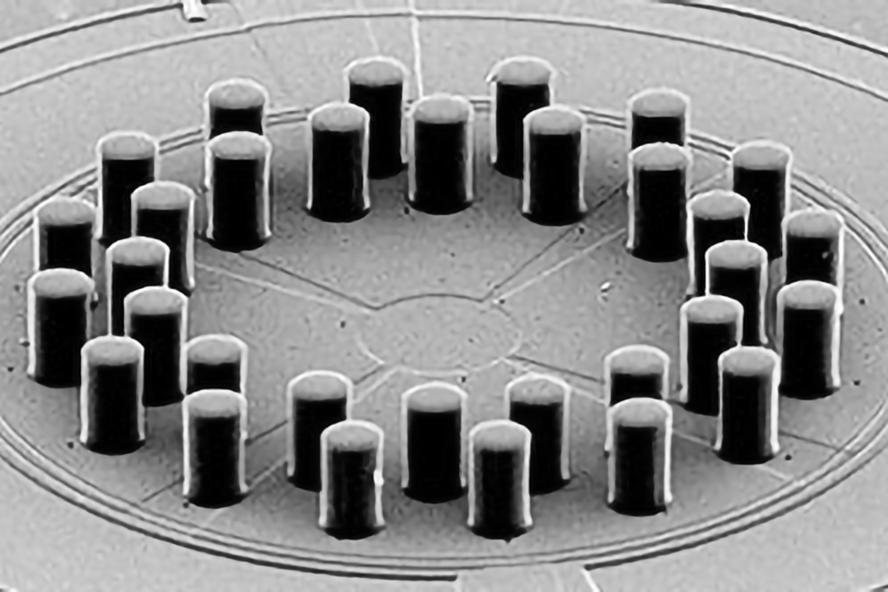 Microscope picture of the hair sensor arrays