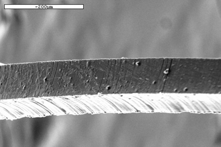 S-E-M image of silk fiber as part of well defined scaffold layer