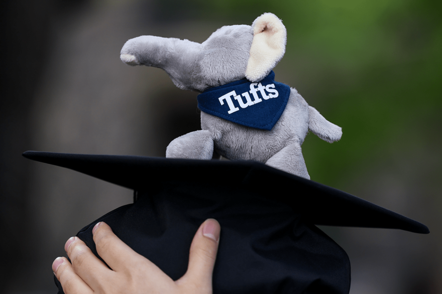 A stuffed toy elephant with the Tufts logo.