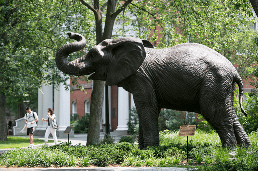 Statue of Jumbo the elephant on Tufts' Medford/Somerville campus.