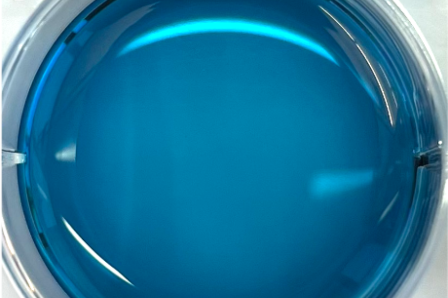 Blue melanin in a petri dish. 