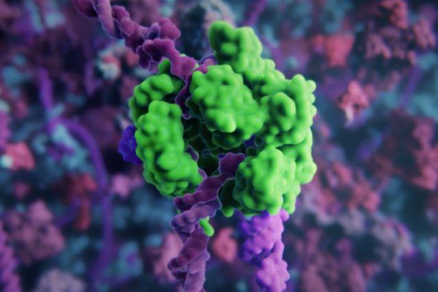 A still image from an animation illustrating biodegradable lipid nanoparticles delivering mRNA for the gene editing kit