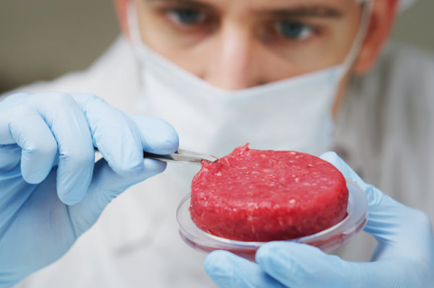 A scientist examines cultured meat