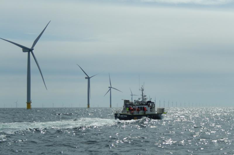 A boat passes by a wind farm in the ocean