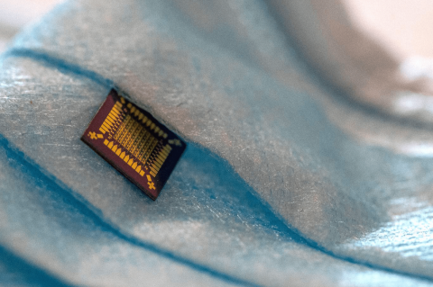 A small, square flat object with etching sitting in a blue face mask. Hybrid transistors set stage for integration of biology and microelectronics, as microprocessor-scale transistors detect and respond to biological states and the environment.