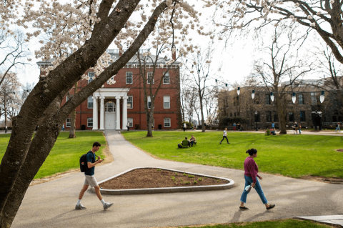 Students walk across The Green on a spring day.