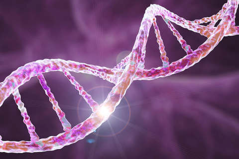 A DNA strand. Photo: Shutterstock