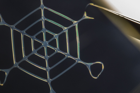 Web of silk nano fibers  able to withstand a load 4,000 times its own weight.
