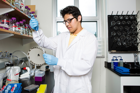 Student Greg Berumen working in the lab
