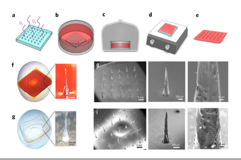 Figure from Tufts paper on microneedles
