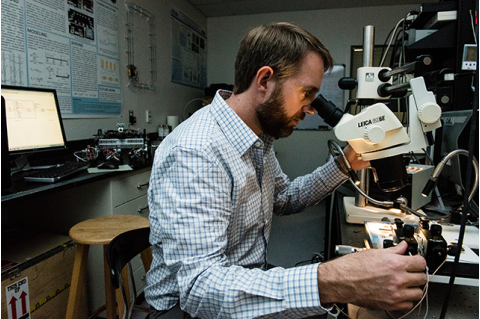 Associate Professor Robert White looks in a microscope