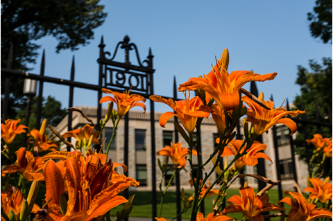Flowers and a campus gate