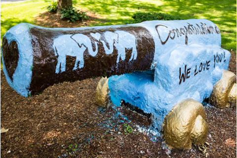 A cannon covered in paint
