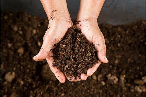 Two hands holding soil