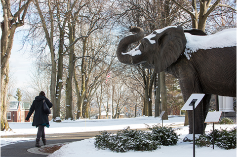 A person walking besides an elephant statue on campus