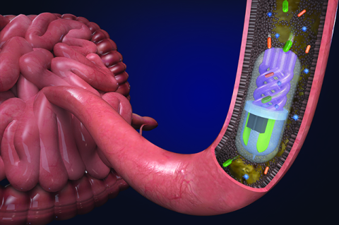 Microbiome sampling pill in the small intestine. Source: Nano Lab, Tufts University