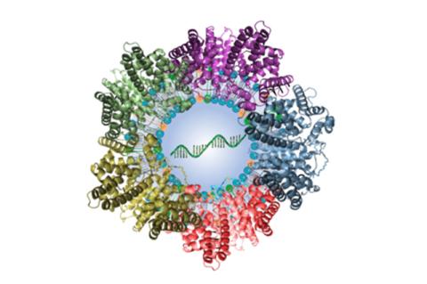 Illustration of a lipid nanoparticle surrounded by plasma proteins. Image: Min Qiu
