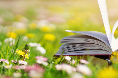 an open book on a field of grass and flowers