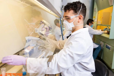 Graduate students conduct research in the Tufts Cellular Agriculture lab.