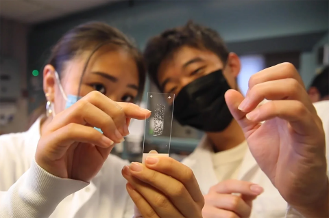 Two students examine a slide with cultured cells