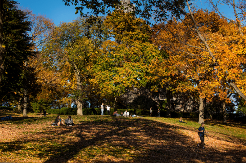 Stock image of Tufts campus in the fall