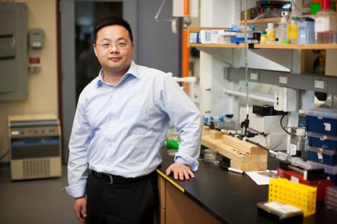 Associate Professor Qiaobing Xu stands in his lab.