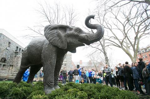 Elephant statue on a lawn
