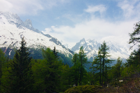 Snow-capped mountains with green fir trees in front.