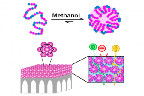 A figure image of membrane transport process