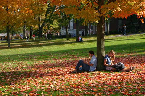 Two students sitting against a tree in autumn