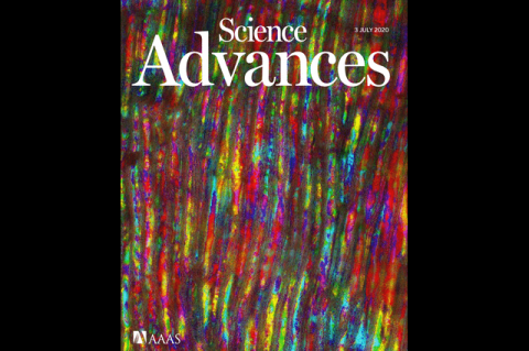 Cover of Scientific Advances featuring the Silk Lab's work