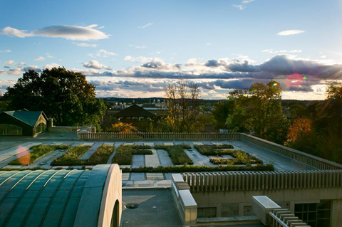 tisch library's roof garden